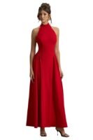 Women's Sleeveless Backless Maxi Length Dress | Fit & Volume Flare Skirt |