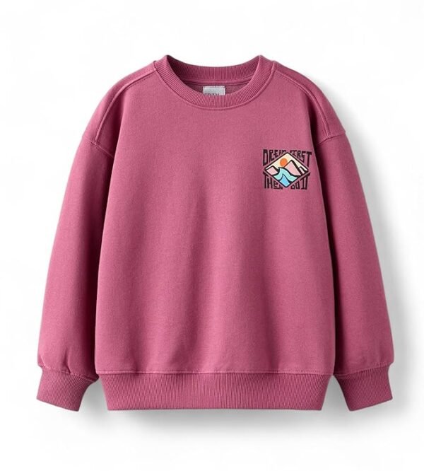 Boy's Oversized Sweatshirt | Stylish Printed Crew Neck Pullover for Kids | Age 6–16 Years