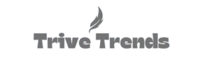 TRIVENTEK SOLUTIONS PRIVATE LIMITED